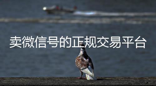 卖微信号的正规交易高价收购微信号平台平台（卖微信号的正规交易平台是哪个）