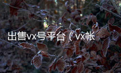 出售vx号高价回收vx300元秒结平台（vx帐号出售）