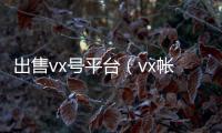  出售vx号平台（vx帐号出售）