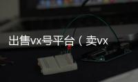  出售vx号平台（卖vx号的平台）