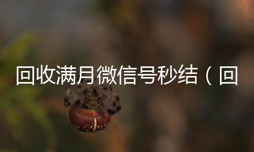 回收满月微信长期高价回收微信号号秒结（回收微信新号）