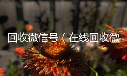 回收微信号24小时收微信靠谱回收（在线回收微信号）