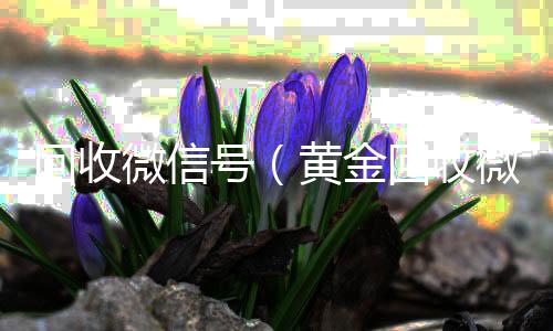 回收微信号vx回收秒结（黄金回收微信号）
