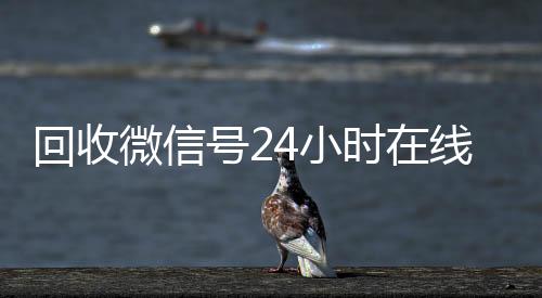 回收微信号24小24小时vx回收平台时在线秒结（回收微信号平台官网）