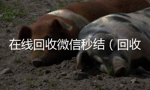 在线回收微信回收微信号联系方式秒结（回收微信秒结账）