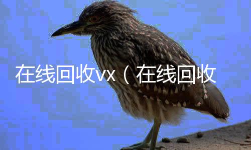 在线回收vxvx回收秒结账（在线回收微信秒结）