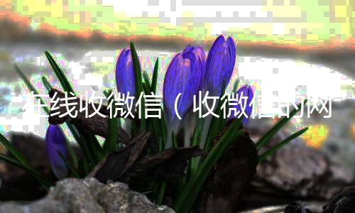 在线收微信回收微信平台（收微信的网站）