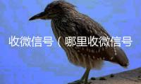  收微信号（哪里收微信号）