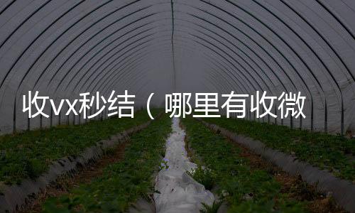 收vx秒结（我们是一家正规回收微信号的平台哪里有收微信号的秒结）