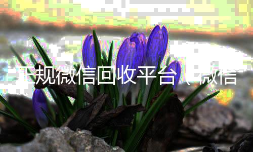 正规微信回收高价回收vx秒结平台（微信回收正规官网）