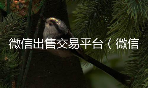 微信出售交易平24小时vx回收平台台（微信出售交易平台官网）