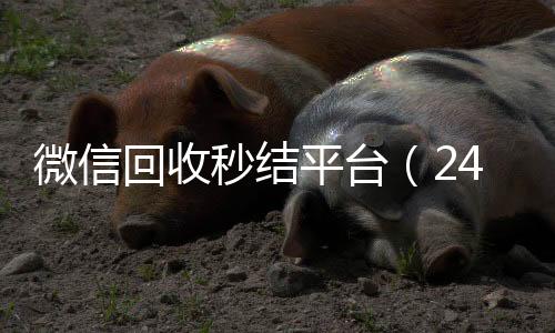 微信回收秒结平台24小时收微信靠谱回收（24小时回收微信秒结平台）