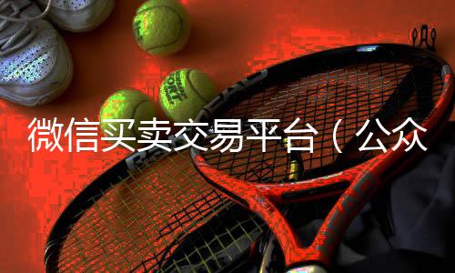 微信买卖交高价回收wx联系方式易平台（公众号交易）