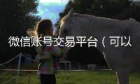  微信账号交易平台（可以用微信付款的账号交易平台）
