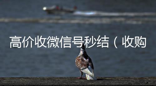 高价收微信号秒高价收微信号秒结结（收购微信号秒结账的）
