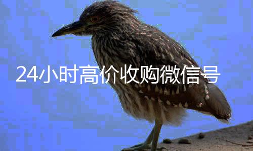 24小时高价收购微信号收购24小时微信号（收购微信号联系电话）