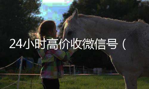24小时高价24小时高价回收微信收微信号（低价收微信号）