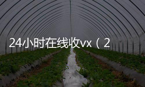 24小时在线收v24小时收vx秒结x（24小时在线收v秒结账）