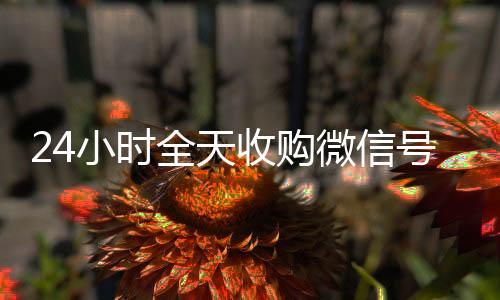 24小时全天收购24小时靠谱收微信平台微信号（800收一年以上微信号）