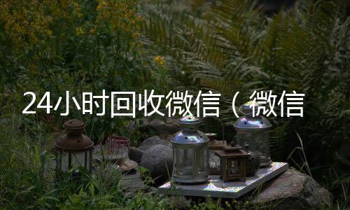 24小时回收微回收微信号官网信（微信回收高价秒结平台）