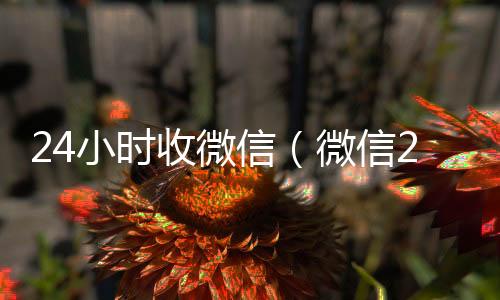 24小时收微信（24小时收微信靠谱回收微信24小时收款的能追回款吗）