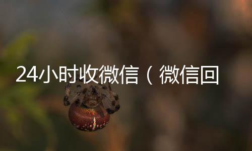 24小时收微在线收微信信（微信回收联系方式）