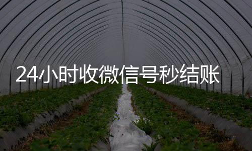 24小时收微信号怎么选择回收微信的秒结平台秒结账（24小时收微信现结）