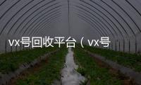  vx号回收平台（vx号回收平台联系方式查询）