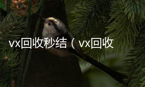 vx回收秒结哪些平台回收vx（vx回收秒结500）
